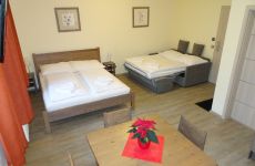 Pension Pstruzi Pokoj 1 (4) - EHOTEL