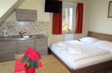 Pension Pstruzi Pokoj 5 (2) EHOTEL